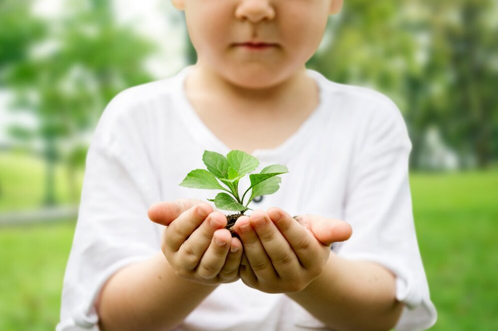 Mengajarkan Anak tentang Kelestarian Lingkungan 3