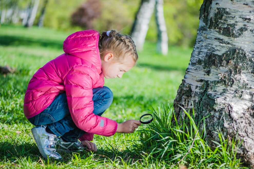 Mengajarkan Anak tentang Kelestarian Lingkungan 4